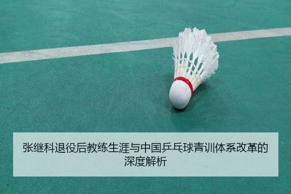张继科退役后教练生涯与中国乒乓球青训体系改革的深度解析