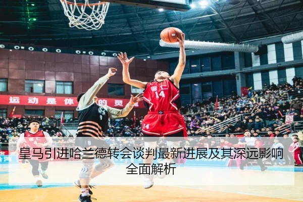 皇马引进哈兰德转会谈判最新进展及其深远影响全面解析